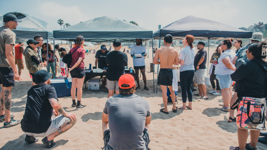 ten claytone beach clean up