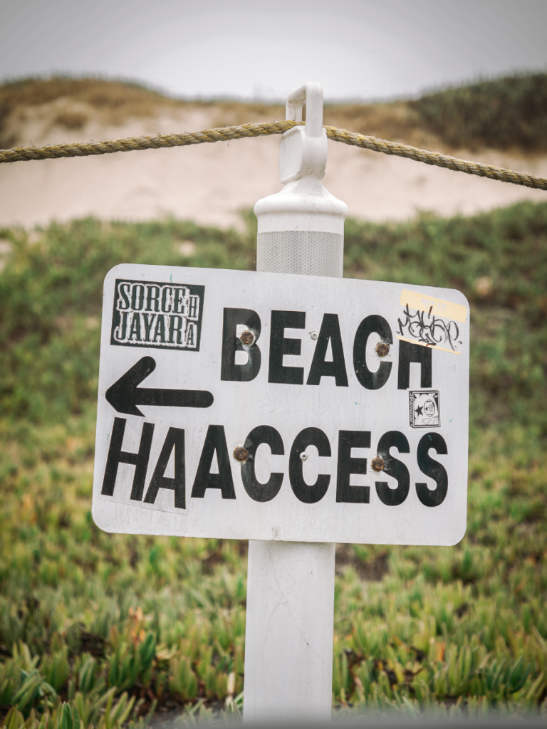 ten x claytone beach clean up