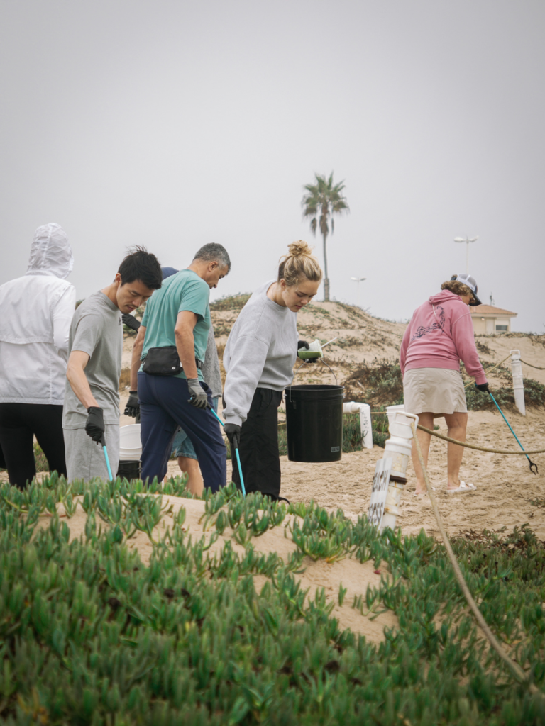 ten x claytone beach clean up