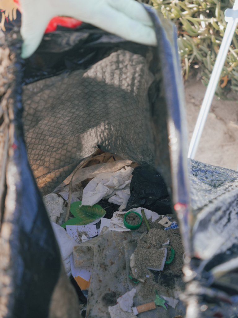 Trash in Playa del rey
